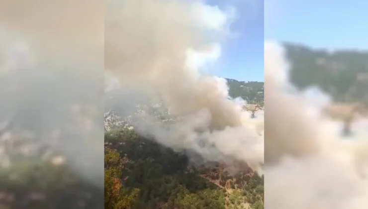 Muğla’da Ormanlık Alanda Yangın Çıktı